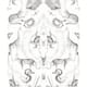Option White