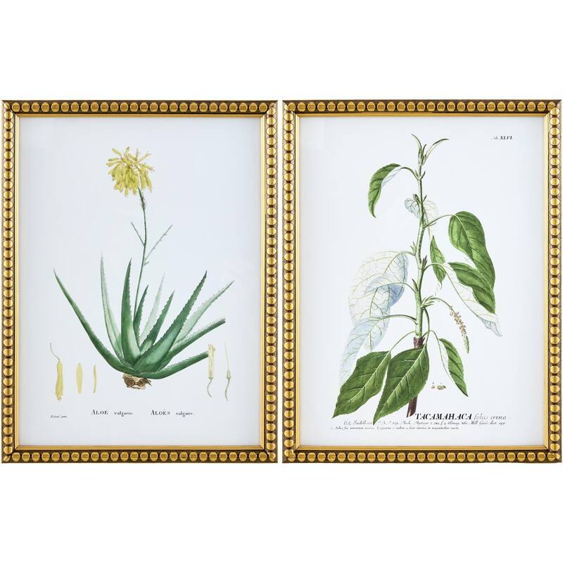 Livabliss Midsummer Cottage Framed Art Set of 2