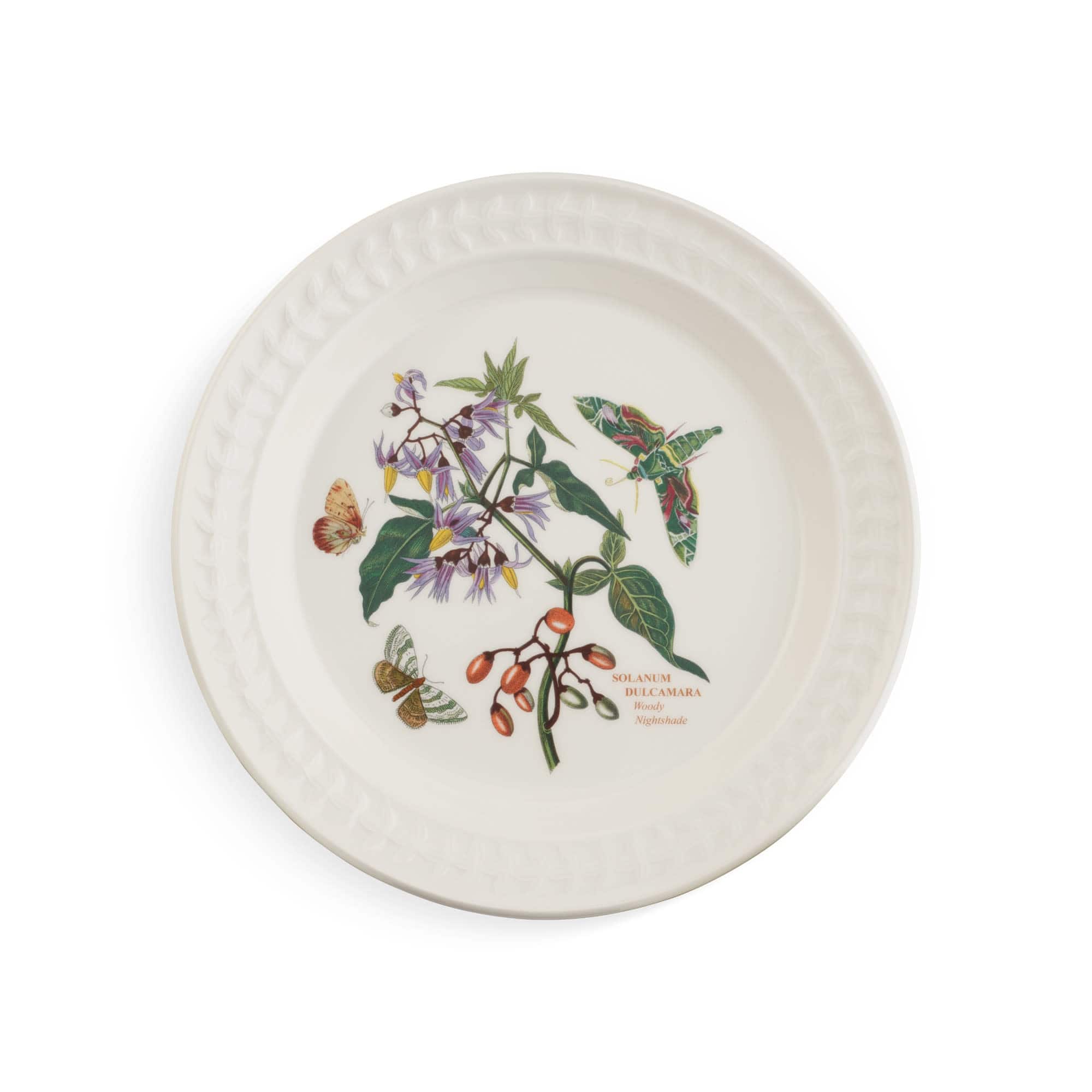 Option Papilio Emerald (Woody Nightshade)