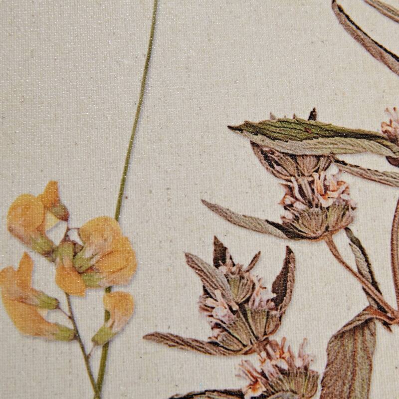 Madison Park French Herbarium 2-piece Framed Canvas Wall Art Set - Multi