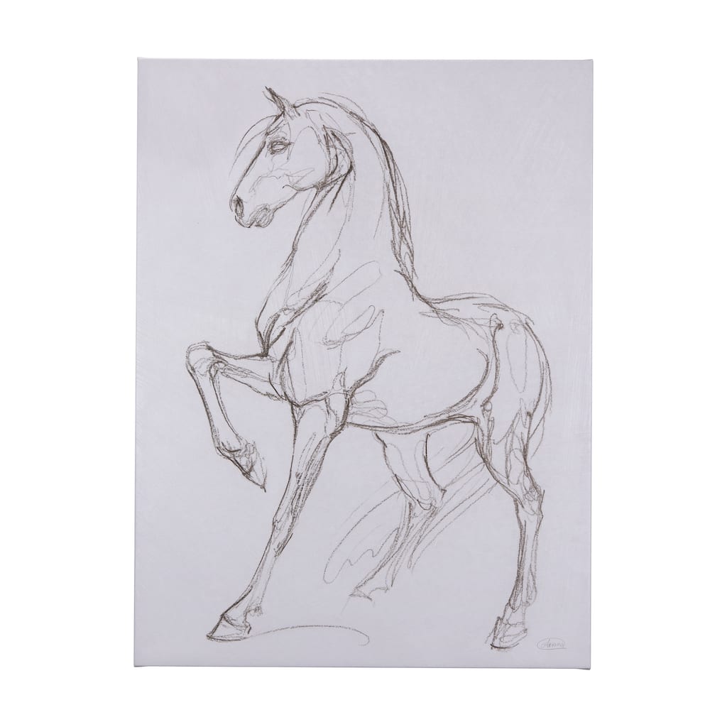 Horse II (42 x 56 ) Canvas Art Print