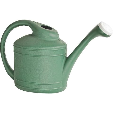 Southern Patio WC8108FE Watering Can, 2 Gallon, Fern Green - 26 In