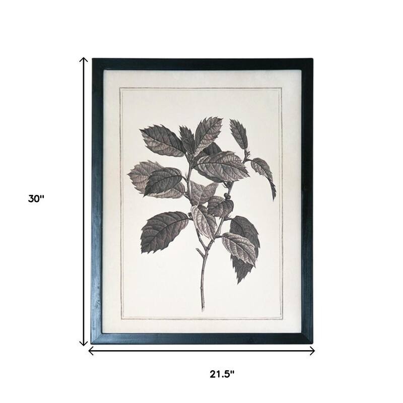 HomeRoots Set of Two Black And White Botanical Leaves Framed Art