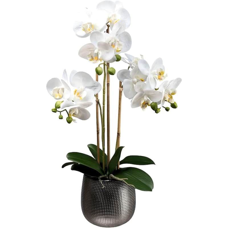 Premium Artificial White Orchid Phalaenopsis Including Textured Metallic-Silver Vase, 24 Inch