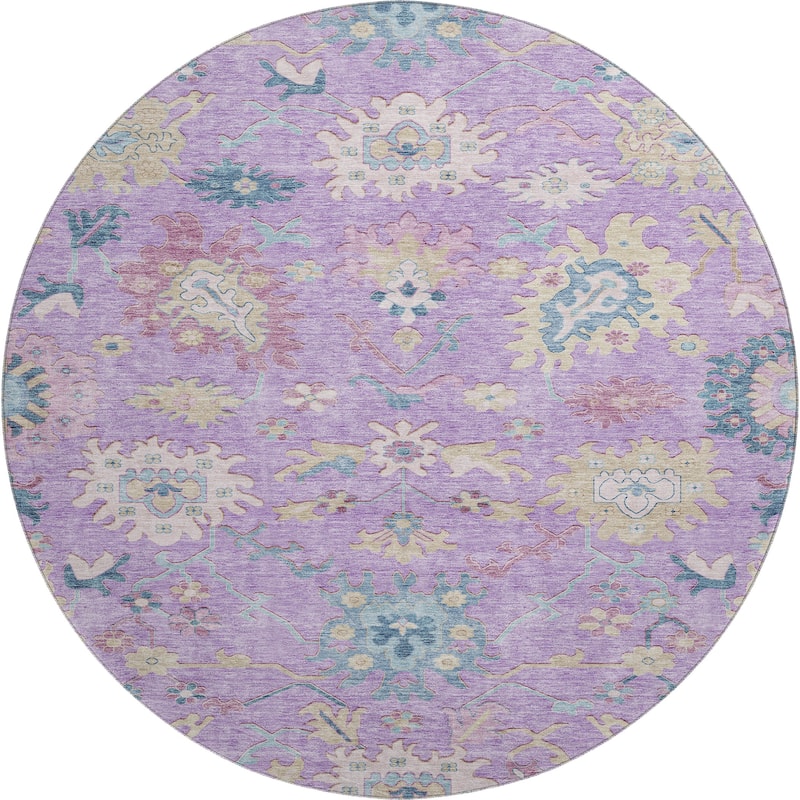 Premium Washable Super Soft Traditional Farmhouse Mayfield Rug