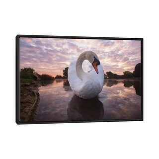 iCanvas "Ying Yang Swan" by Max Ellis Framed - Bed Bath & Beyond - 37043851