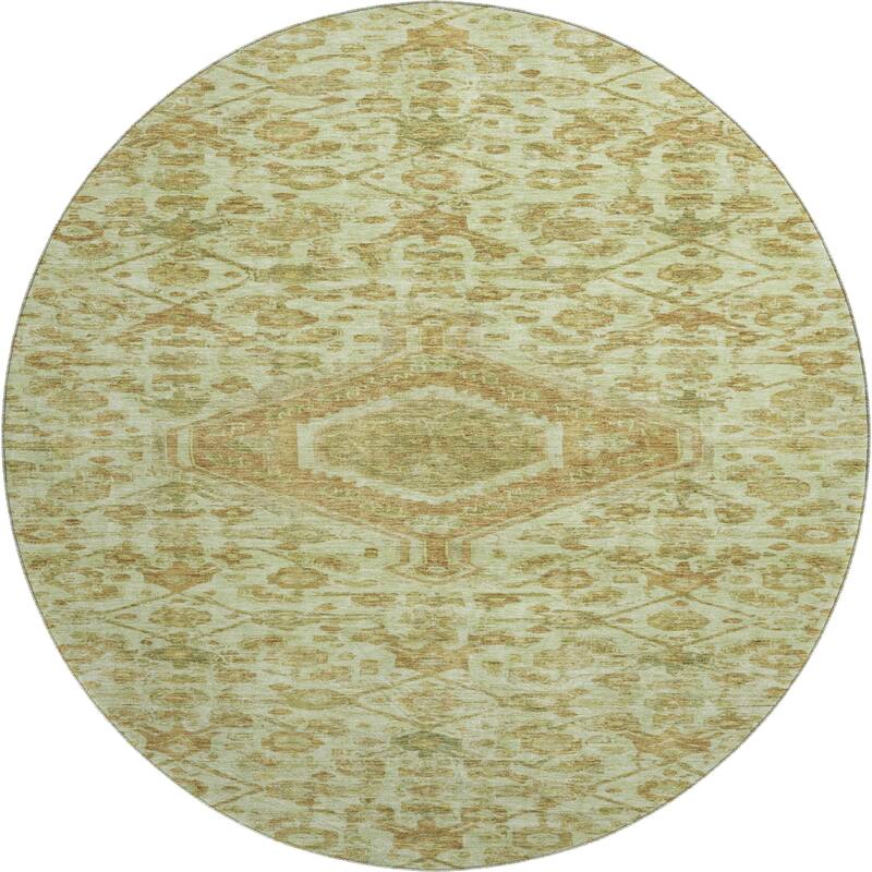 Premium Washable Super Soft Traditional Global Mayfield Rug
