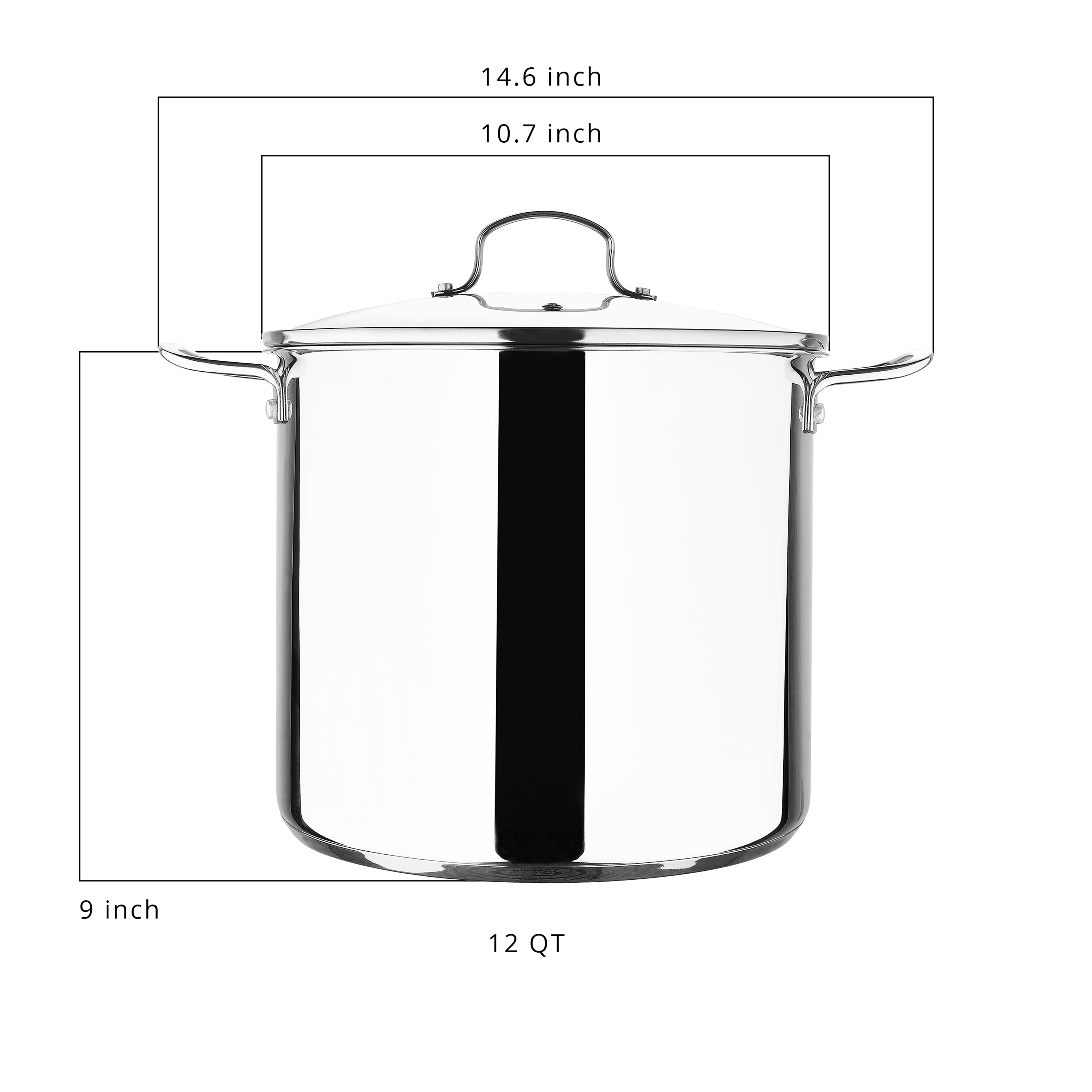 Bergner 16 Quart Stainless Steel Stock Pot with Lid