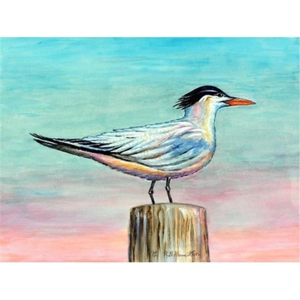 Betsy Drake DM951 Royal Tern 18 x 26