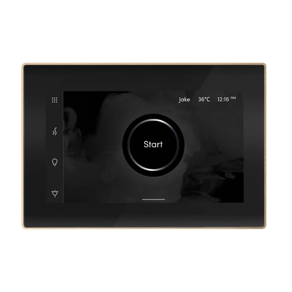Mr Steam ISX Isteamx Steam Shower Control and Steamhead