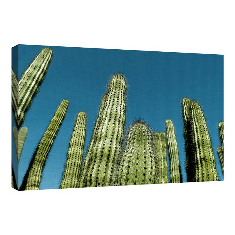 Cactus with Blue Sky by Belle Maison Canvas Art Print