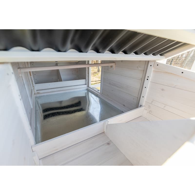 Zylina Modern Walk-in Chicken Coop