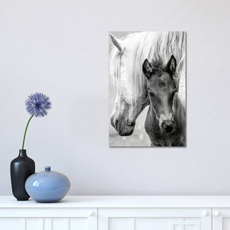 iCanvas "The Foal" by Jacky Parker Canvas Print - 18x12x1.5