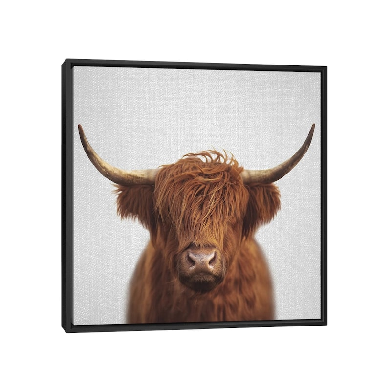 iCanvas "Highland Cow" by Gal Design Framed Canvas Print - Black - 37x37