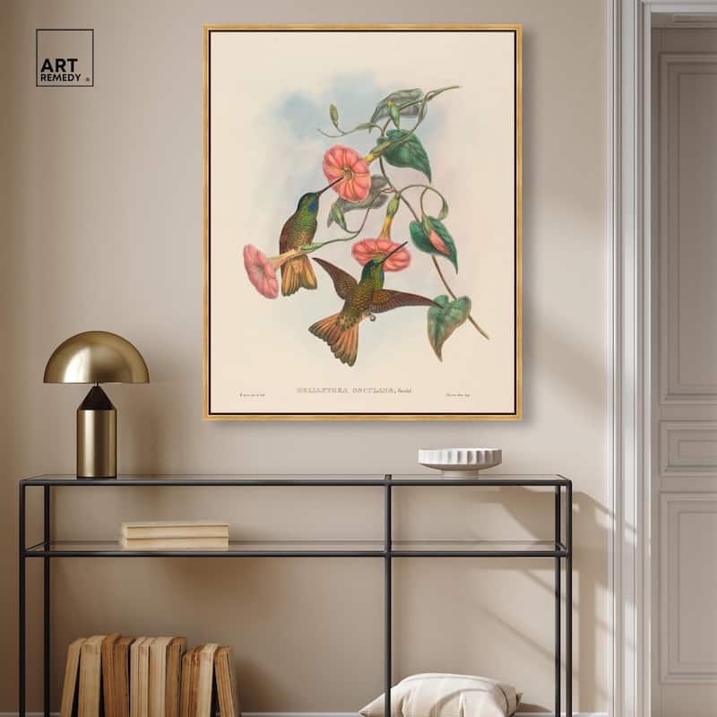 Gould's Hummingbirds Canvas by Art Remedy