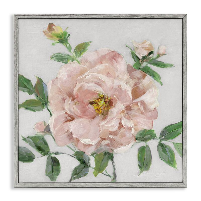 Stupell Pink Carnation Blossom Framed Giclee Art Design By Sally Swatland - 24 x 24 - Grey