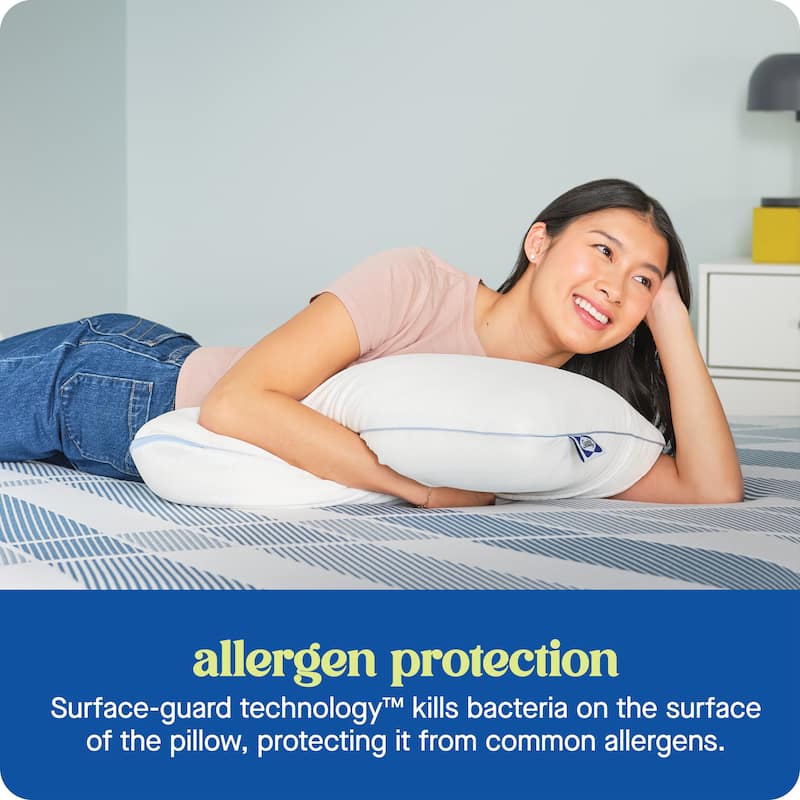 Sealy Dreamlife Performance Foam Pillow, Standard