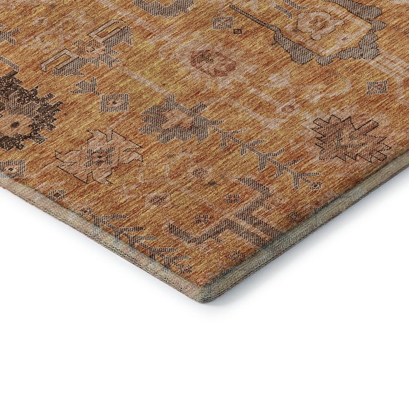 Premium Washable Super Soft Traditional Global Mayfield Rug