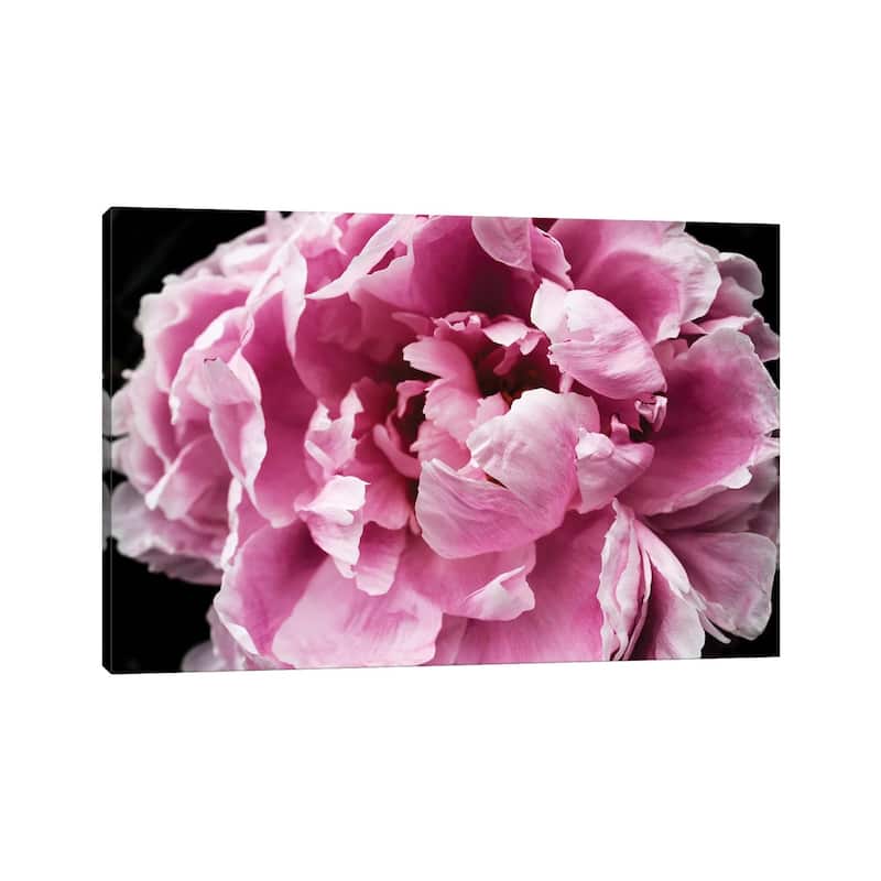 iCanvas "Pink Peony Passion IV" by Irena Orlov Canvas Print