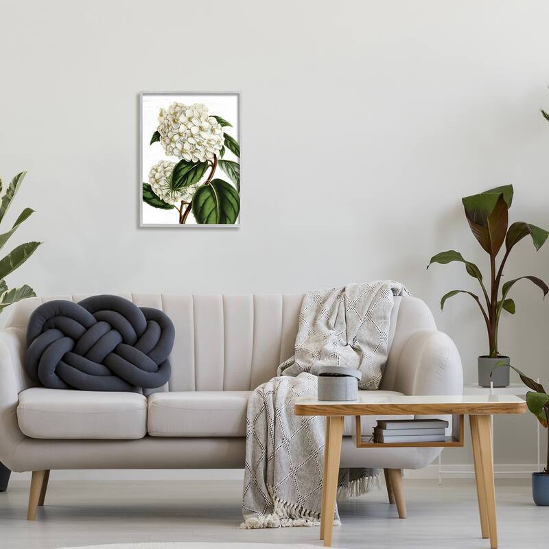 Stupell Begonia Opuliflora Flower Stem Vintage Botanical Study Framed Wall Art, Design by Lettered and Lined - Green
