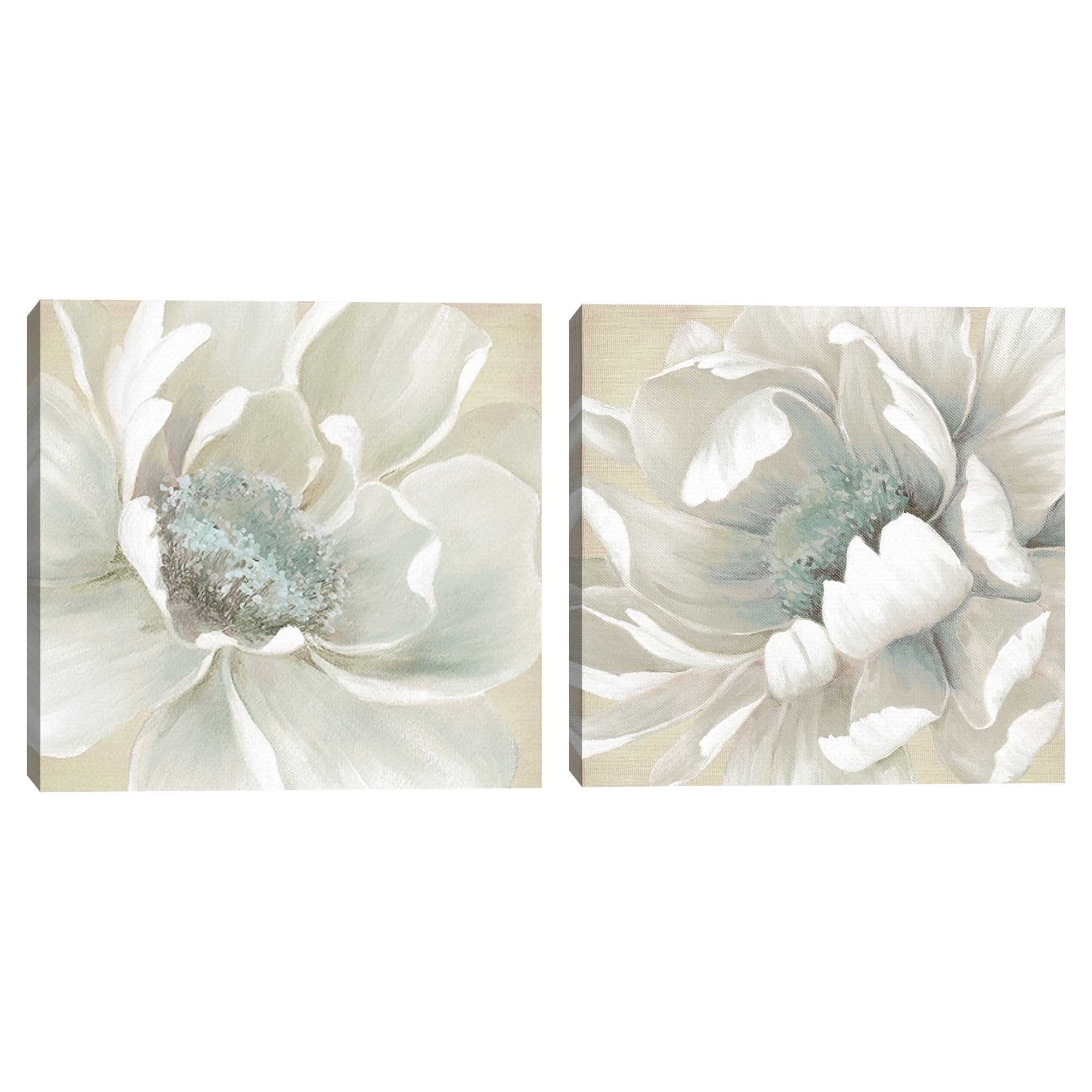 Winter Blooms I & II by Carol Robinson Canvas Art Prints