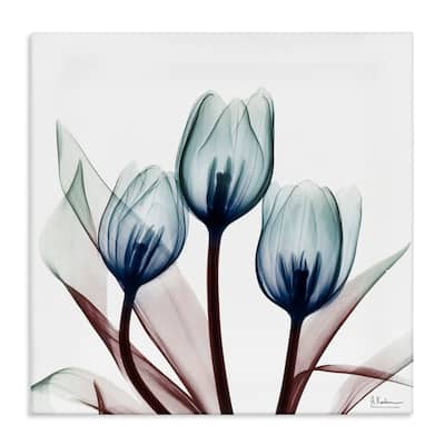 Stupell Chic Blue Translucent Tulips Canvas Wall Art Design By Albert Koetsier