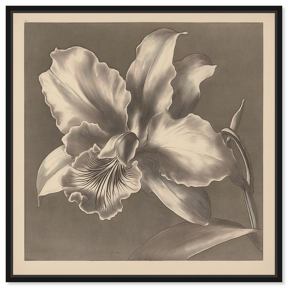 Petals Unfurled I Canvas by Art Remedy