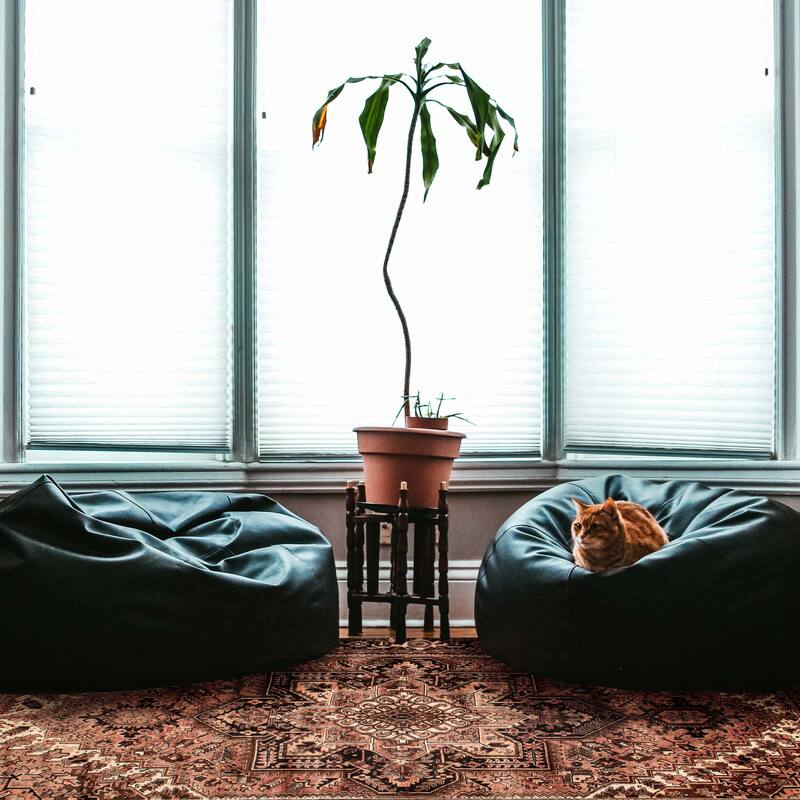 ECARPETGALLERY Hand-knotted Sarabi Copper Wool Rug - 9'5 x 12'8