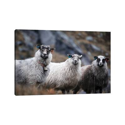 iCanvas "Wool Entourage" by Andreas Stridsberg Canvas Print