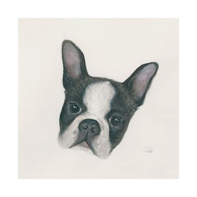 Floyd (Boston Terrier 1) (30 x 30) Canvas Art Print