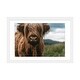 preview thumbnail 4 of 18, iCanvas "Portrait Of A Young Scottish Wooly Highland Cattle" by Michael Schauer PFA White - 16x24x1