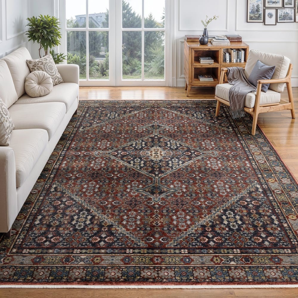 Esme Vintage Medallion Red/ Multi Area Rug