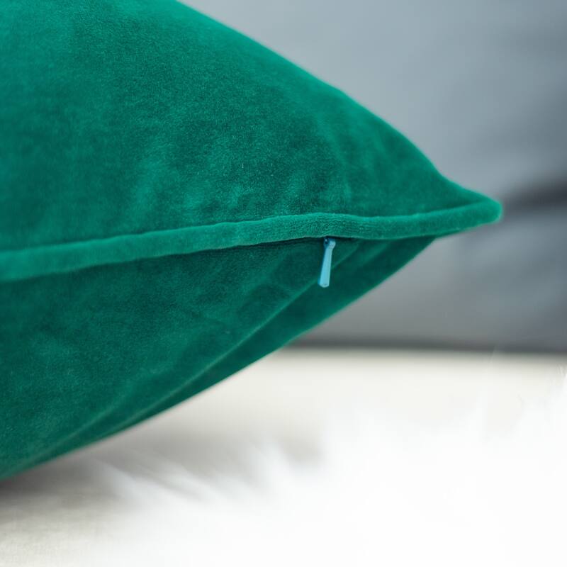 Elisa Velvet 20" Square Decorative Throw Pillow 2PK