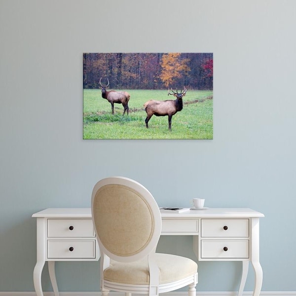Easy Art Prints Joanne Wells's 'Elk In The Great Smoky Mountains' Premium Canvas Art