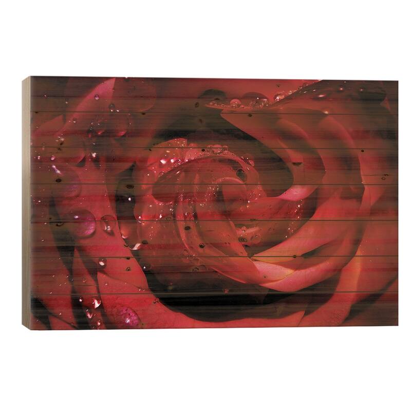 Red Rose Print On Wood by Ros Berryman - Multi-Color - 18x26x1.5