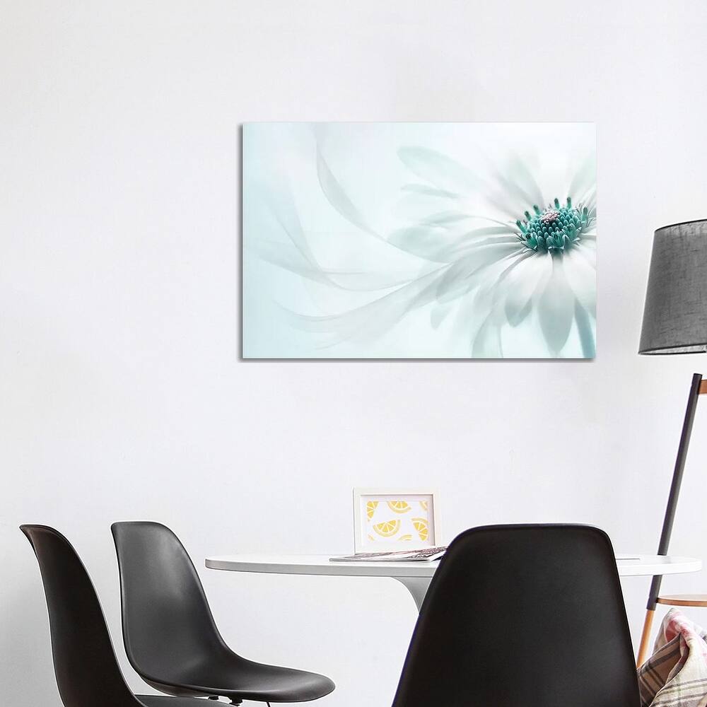 iCanvas "Purity" by Jacky Parker Canvas Print