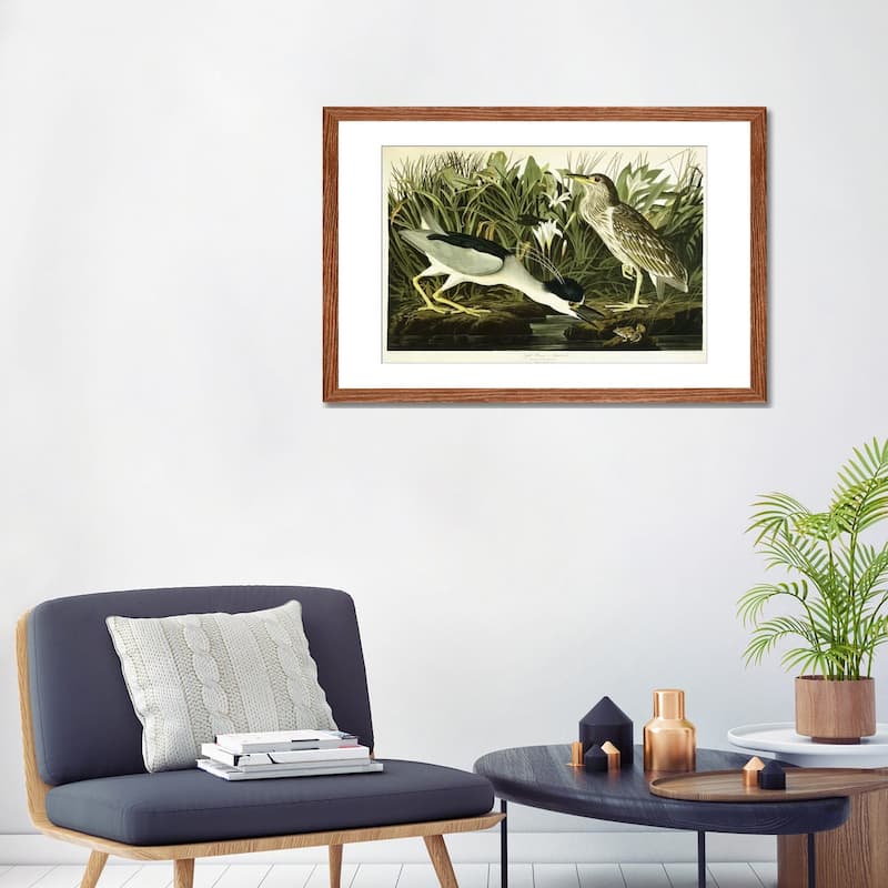 iCanvas "Night Heron or Lua Bird, 1835 " by John James Audubon