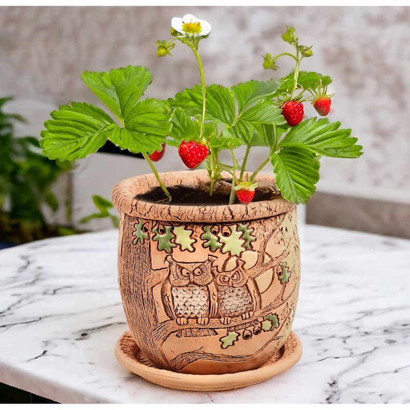 Golden Ceramics 5.9" Handmade Flower Pot Planter - Owls