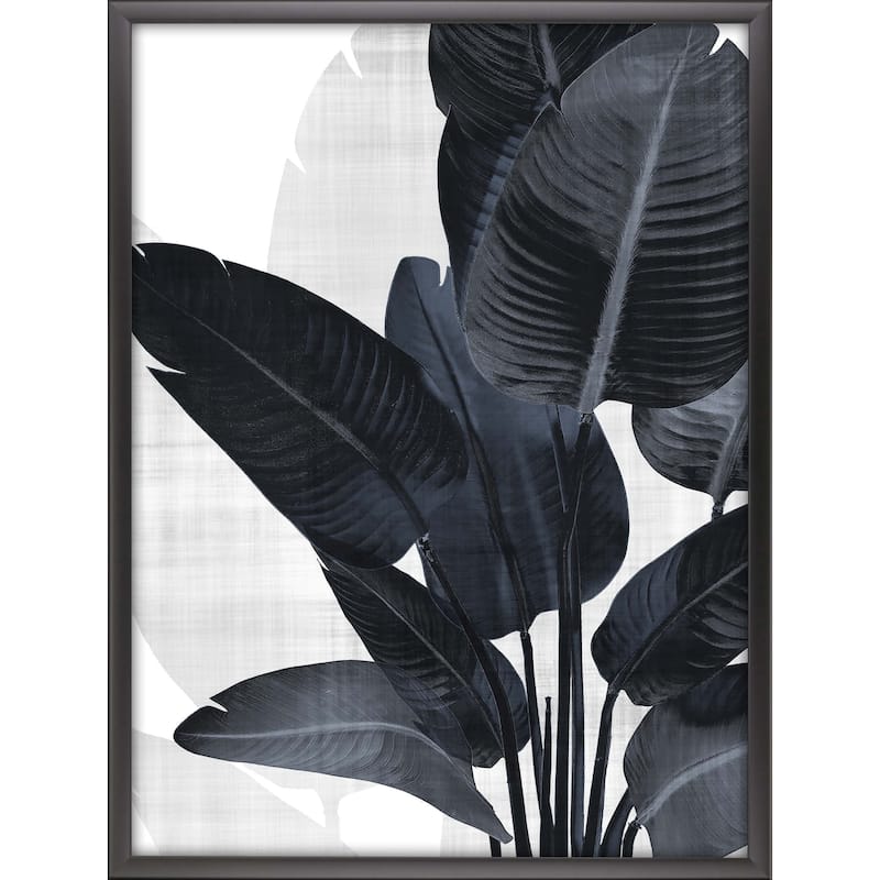 Palm Noir I Framed Art Exclusive Giclee From the Bode and Well ...