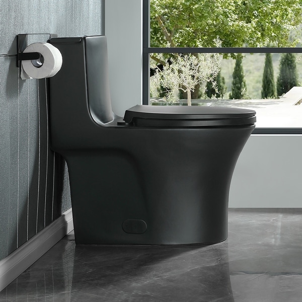 ABRUZZO Dual-Flush One-Piece Toilet, 1.1/1.6 GPF, Water-Saving