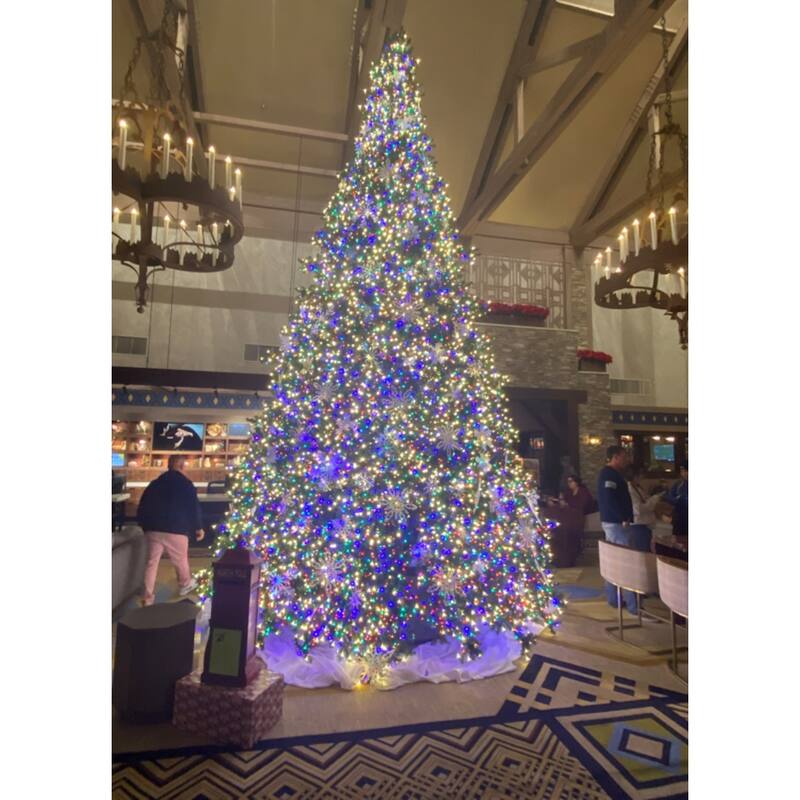 Commercial Pre-Lit Olympia Pine Artificial Tower Christmas Tree - 24' - Warm White LED Lights - over-10-feet