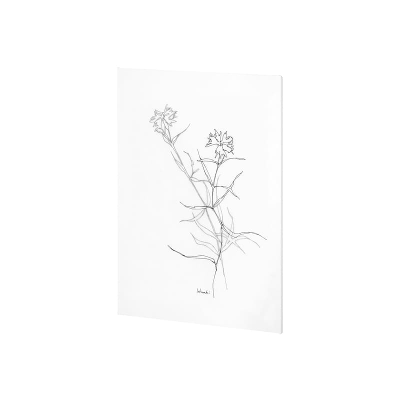 Arrangement II (30 x 40) Canvas Art Print