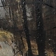 preview thumbnail 7 of 5, Forest View I by Mercana Studio a Hand Embellished Textured Framed Art Print Matted under Glass