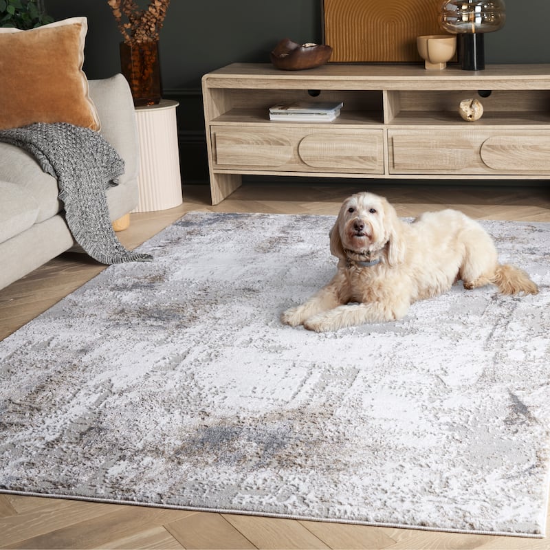 SAFAVIEH Slate Jelline Modern Abstract Rug