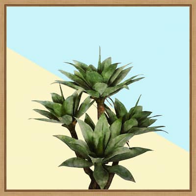 Agave 02 by Amini54 Framed Canvas Wall Art Print - Sylvie Natural