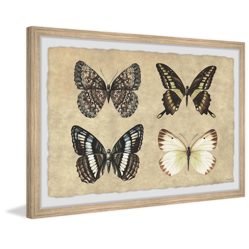 Her Wings Unfolded Framed Print