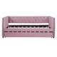 preview thumbnail 21 of 25, Twin Size Tufted Upholstered Daybed with Trundle, Velvet Sofabed with Rivet Design, No Box-spring Needed