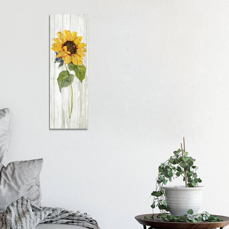 iCanvas "Sunflower in Autumn I" by Sally Swatland Canvas Print - 36x12x1.5