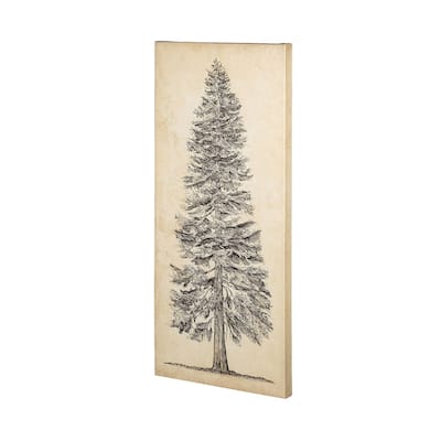Pacific Northwest Tree Sketch I Canvas Art Print