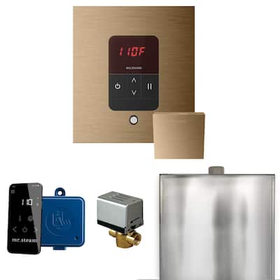 Mr Steam BBS Basic Butler Package Steam Shower Control Package with